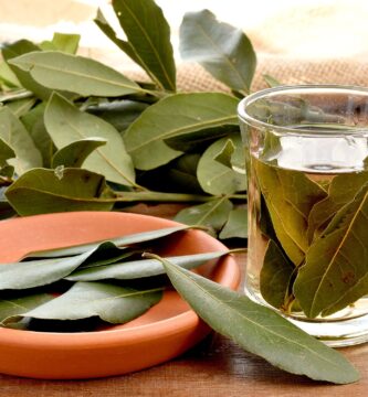 ¿Para qué sirve el té de laurel en ayunas?